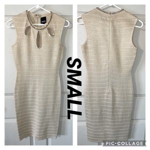 Fitted Women’s Dress!